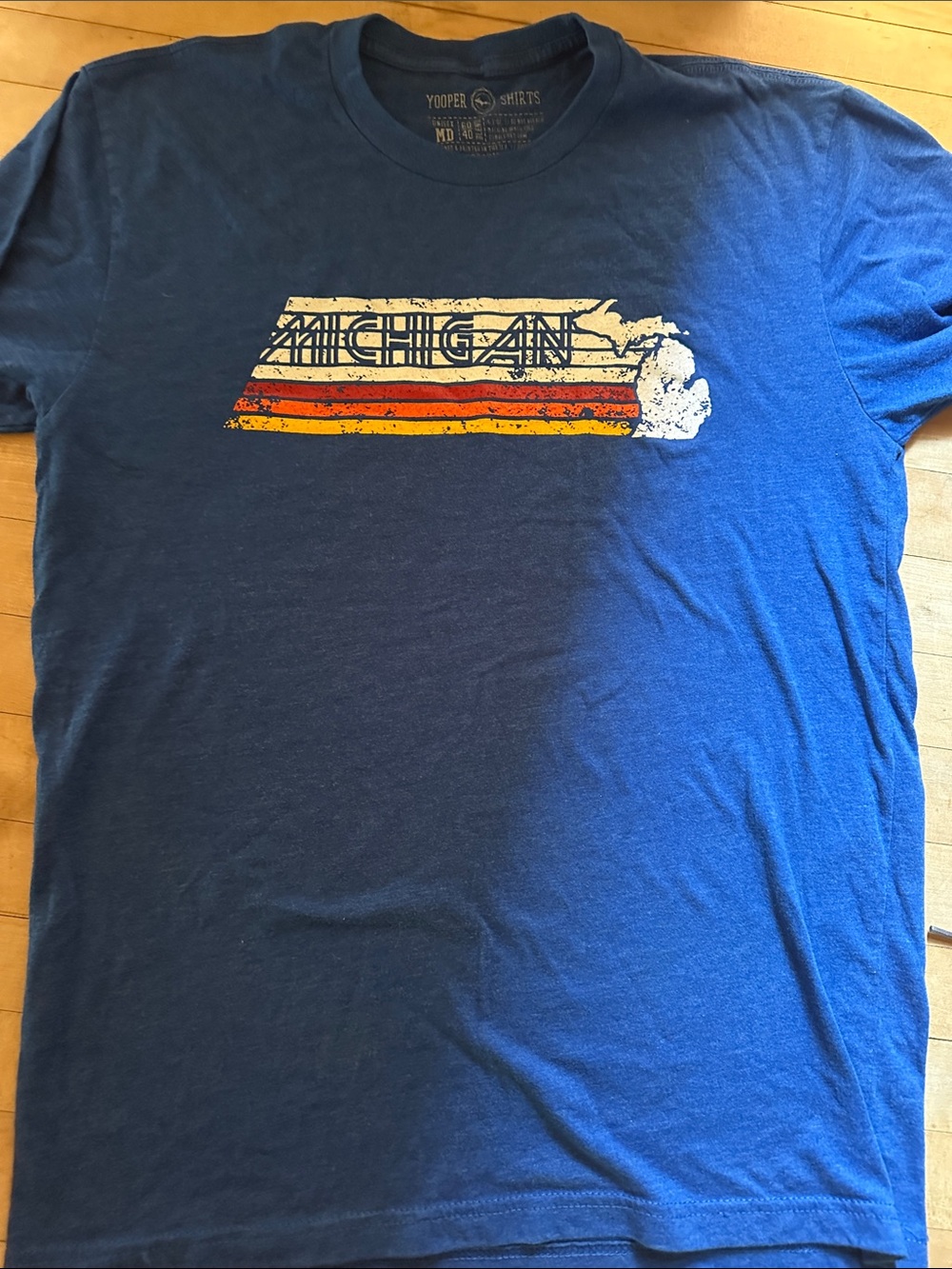 Men's Michigan Graphic Tee - Blue